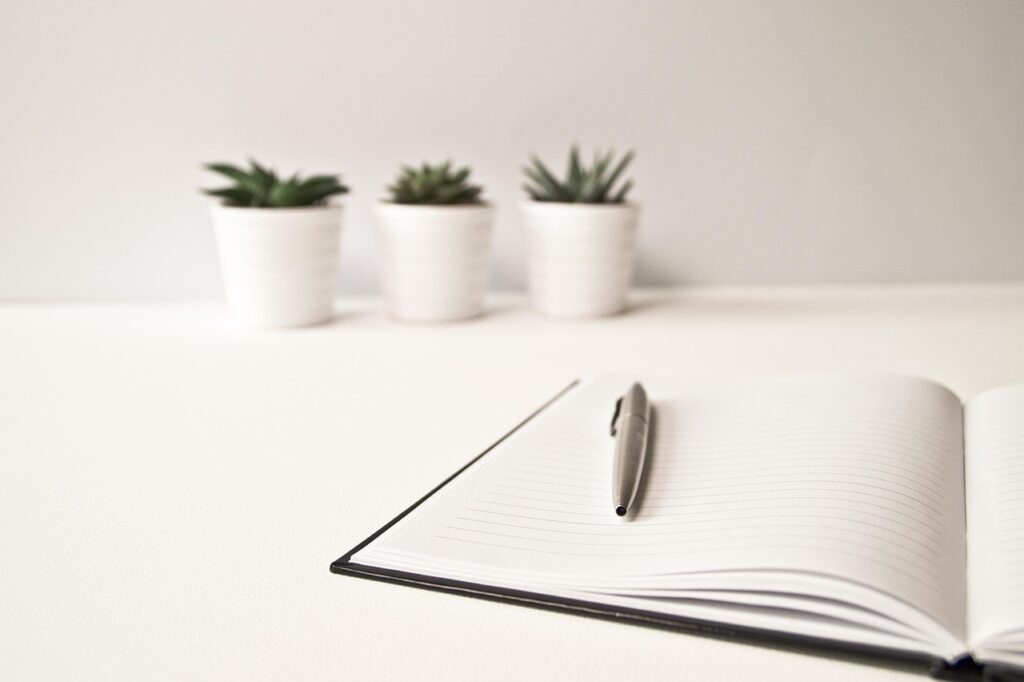 Freelance SEO Content Writer in Mumbai Service